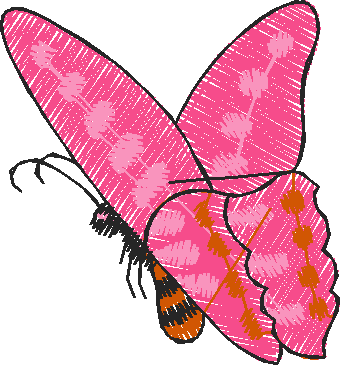Butterflies 22 (30)