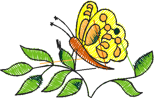 Butterflies 22 (38)