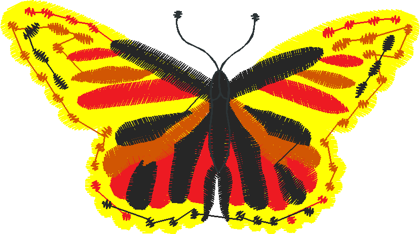 Butterflies 23 (19)