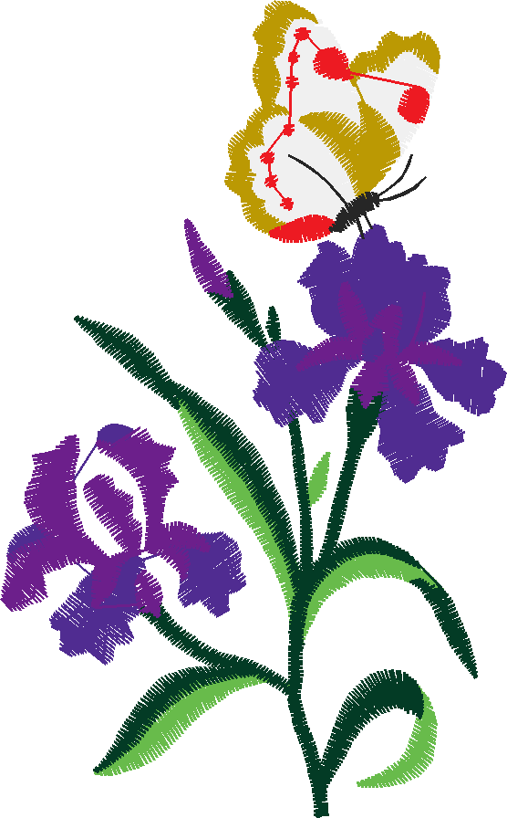 Butterflies 23 (22)