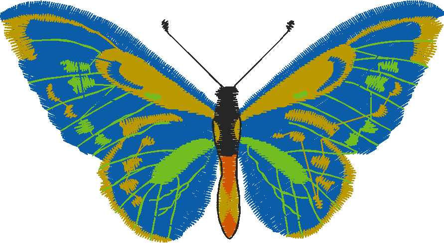 Butterflies 23 (26)