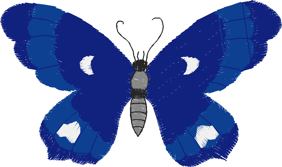 Butterflies 23 (27)
