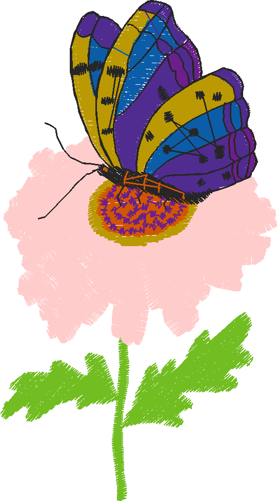 Butterflies 23 (44)