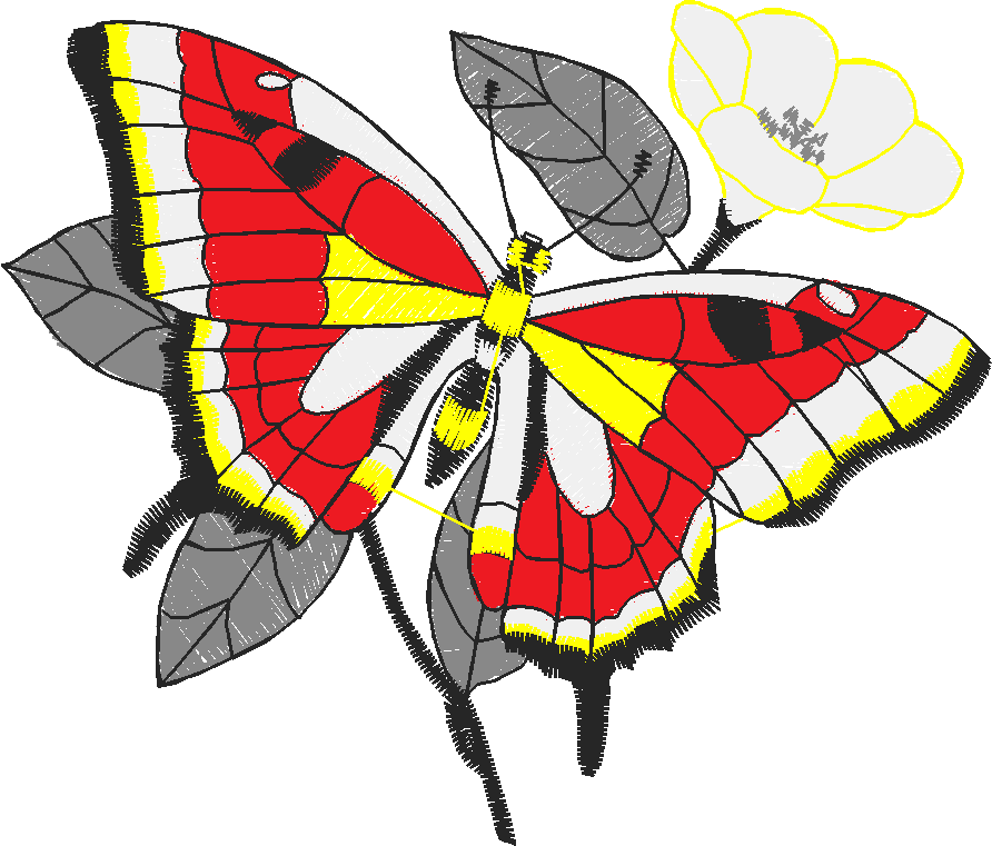 Butterflies 23 (45)