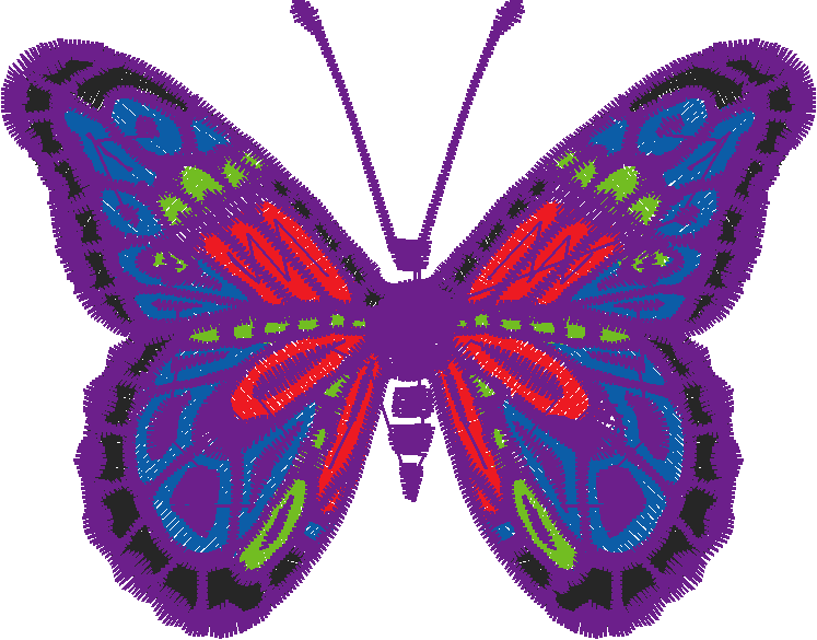 Butterflies 23 (6)