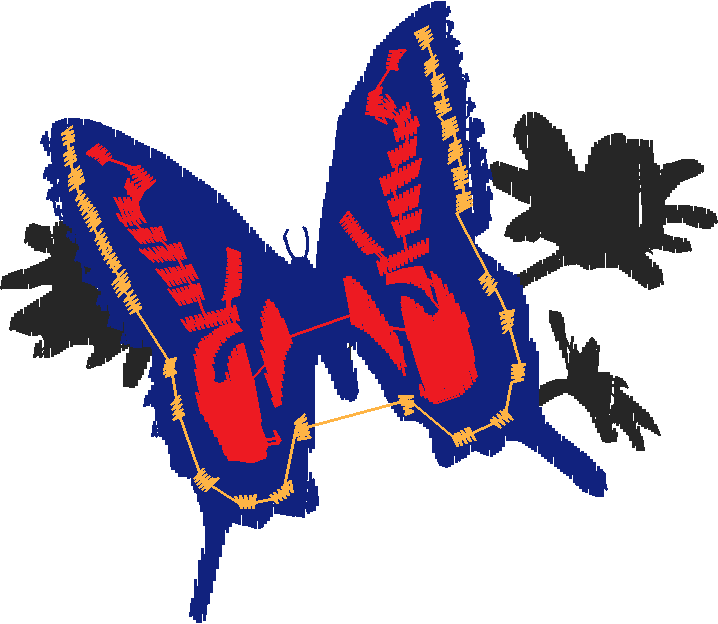 Butterflies 23 (7)