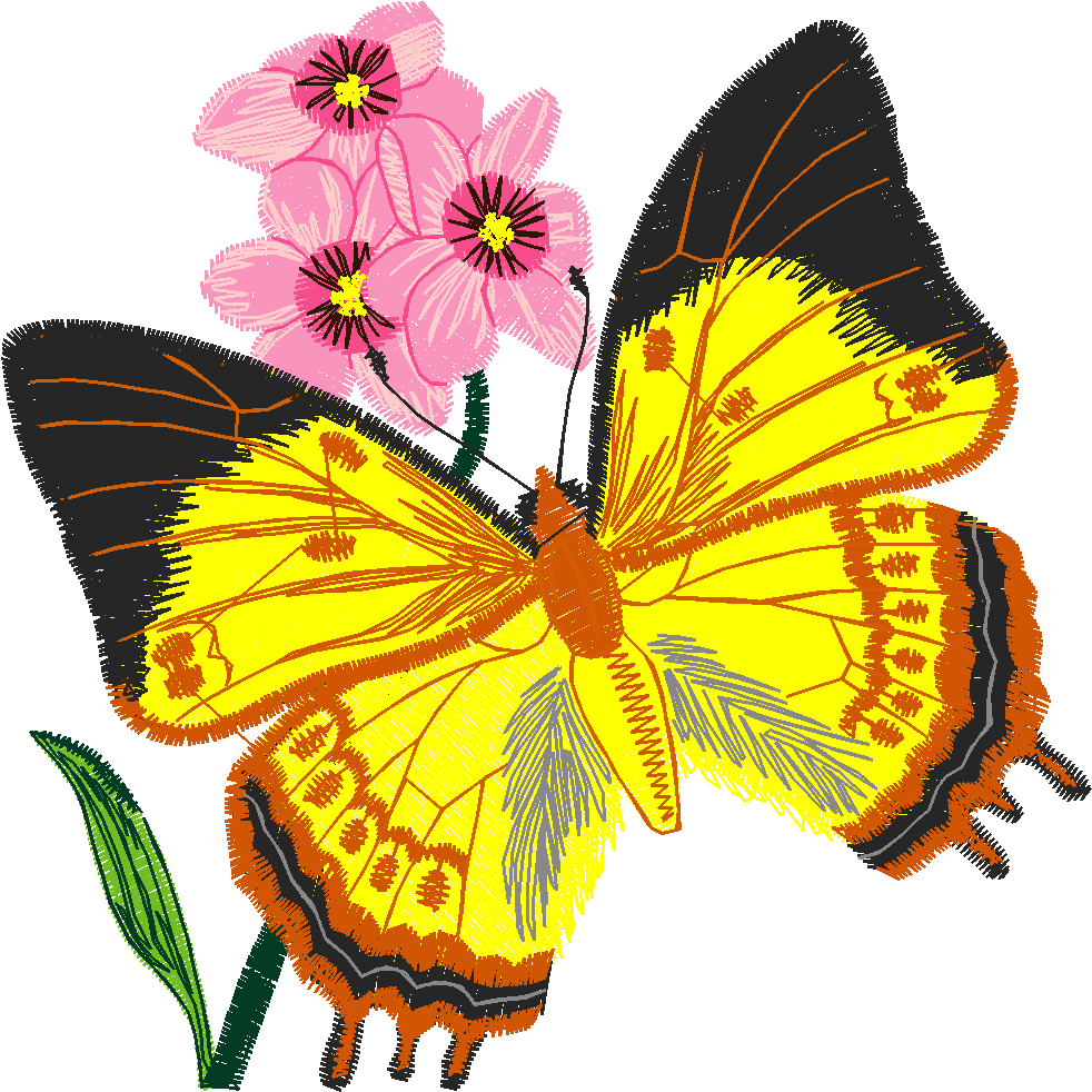 Butterflies 24 (36)