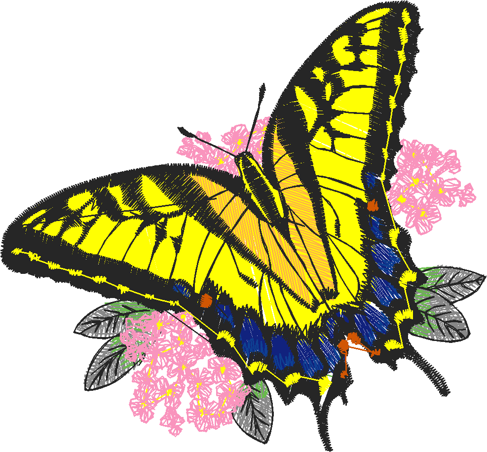 Butterflies 24 (4)