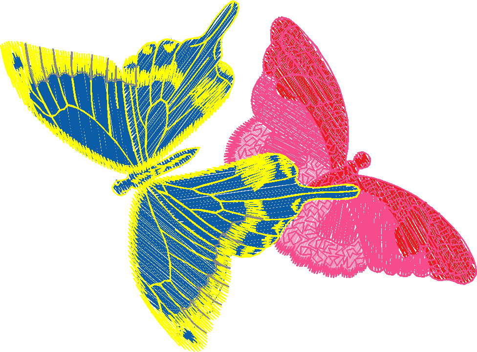 Butterflies 26 (17)