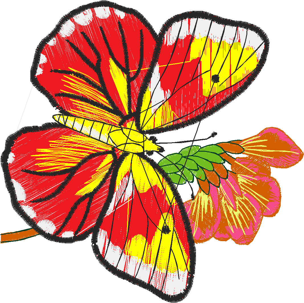 Butterflies 26 (36)