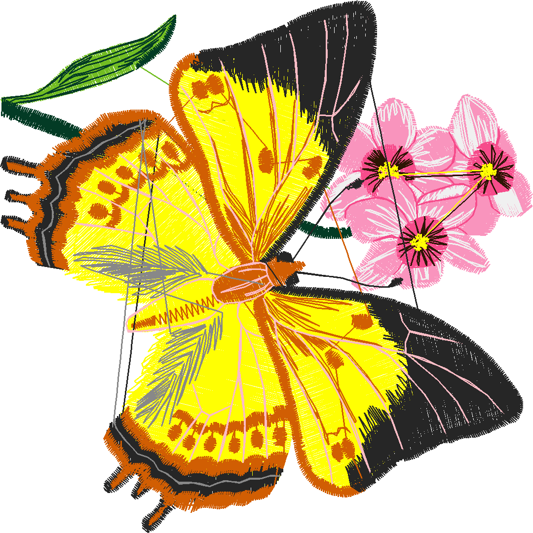 Butterflies 26 (38)