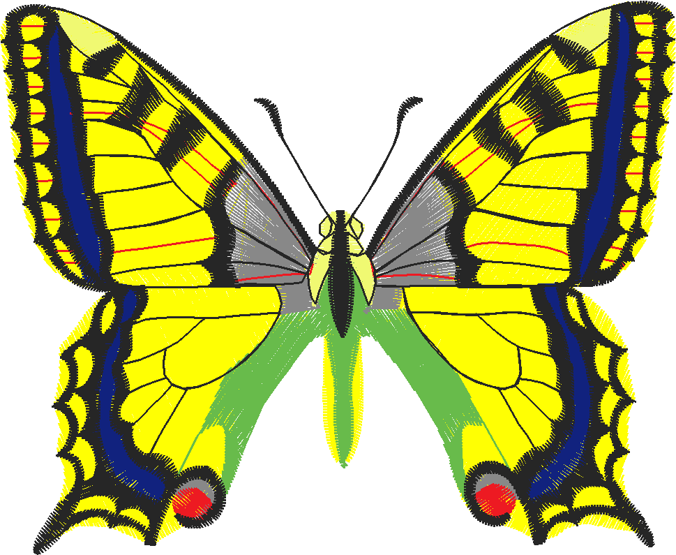 Butterflies 26 (43)