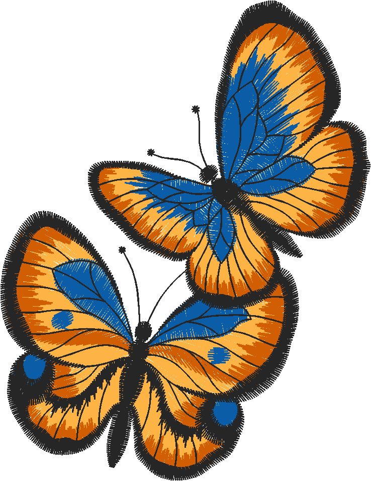 Butterflies 27 (15)