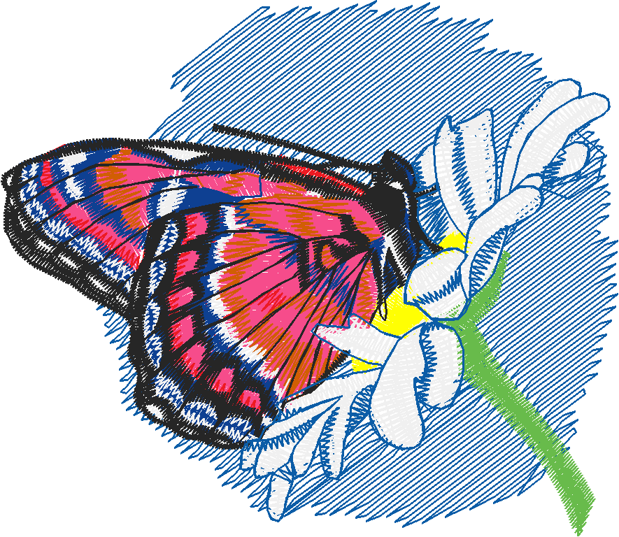 Butterflies 27 (43)