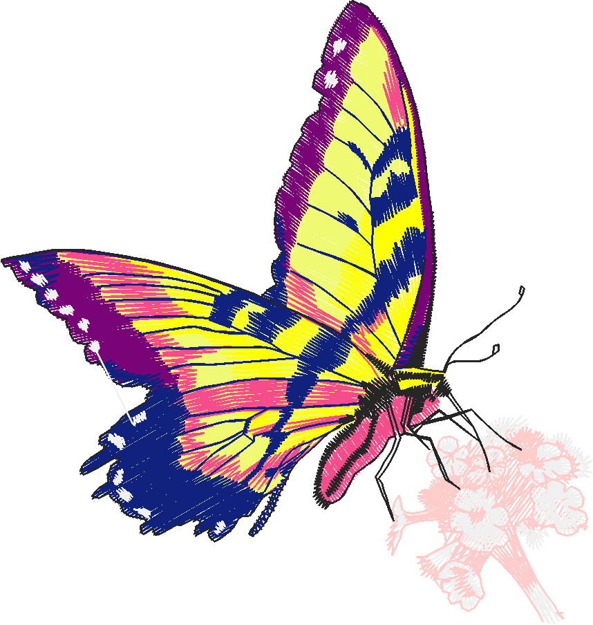 Butterflies 27 (45)