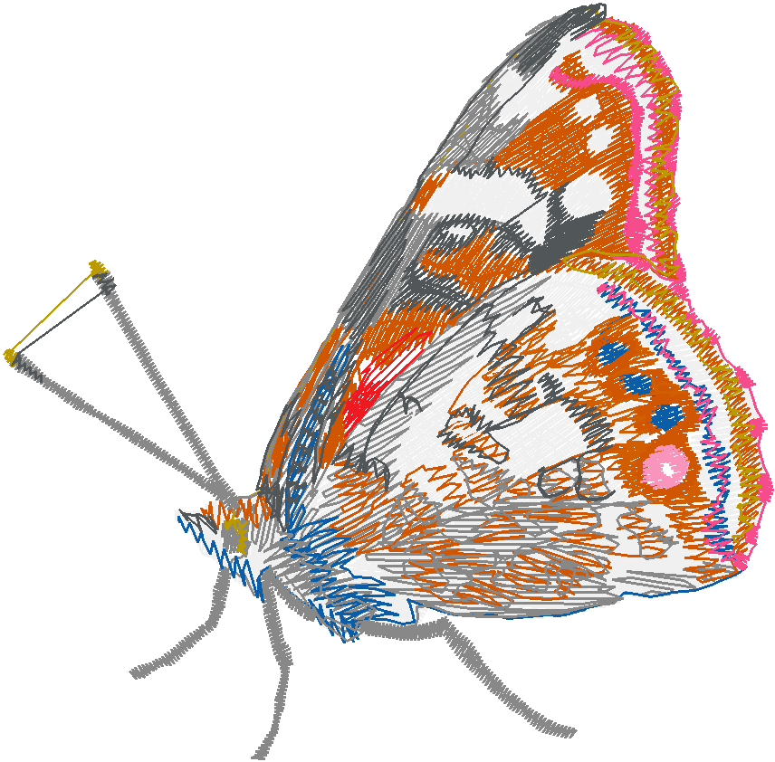 Butterflies 28 (11)
