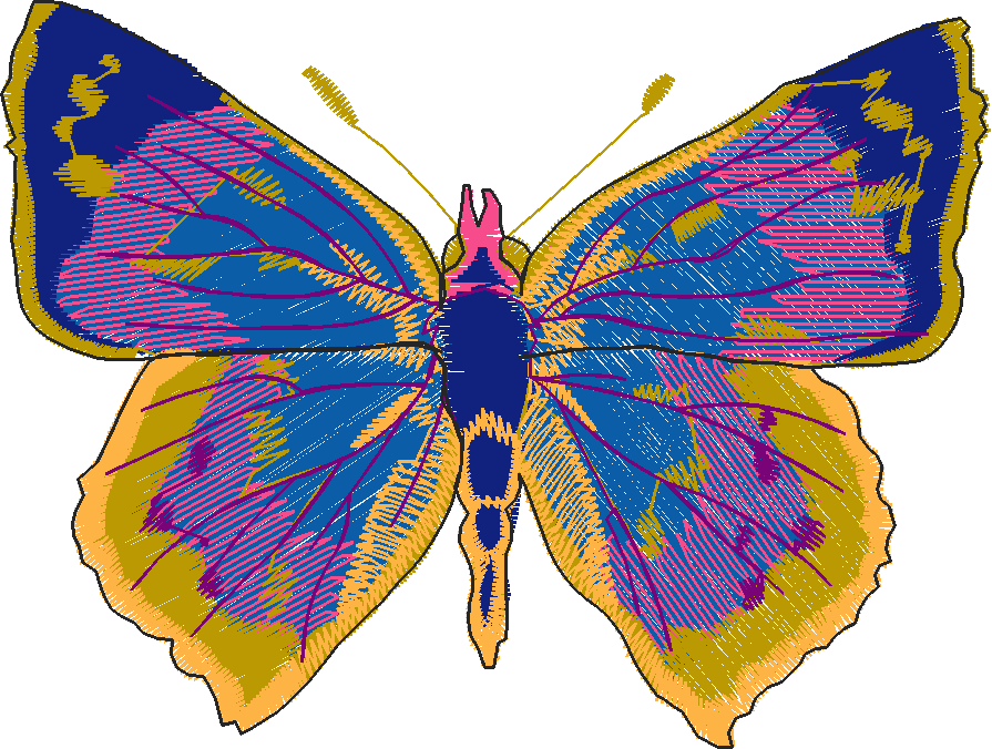Butterflies 28 (19)