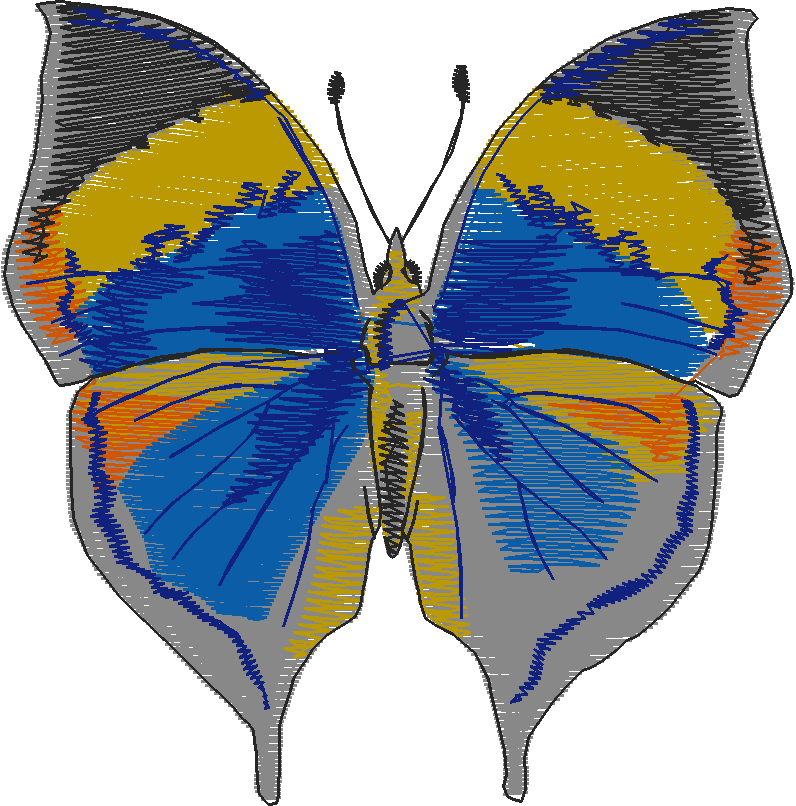 Butterflies 28 (6)