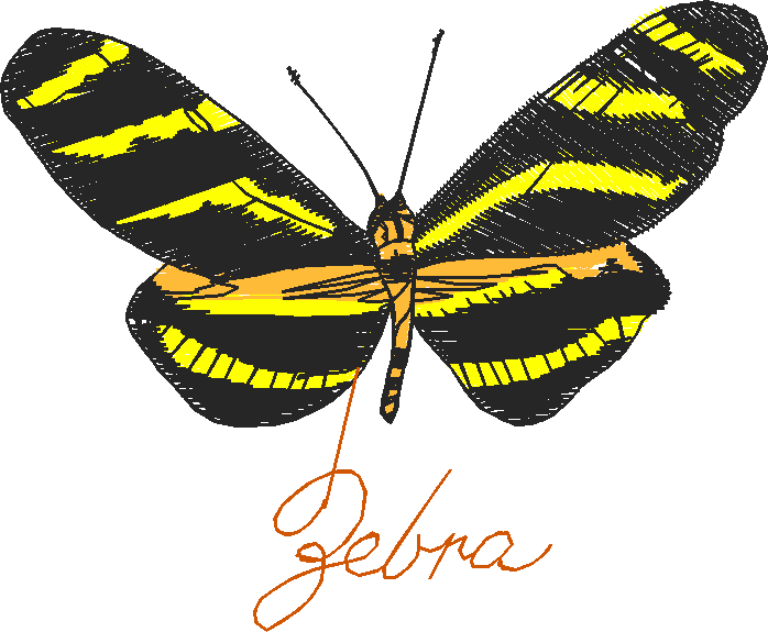 Butterflies 3  (10)