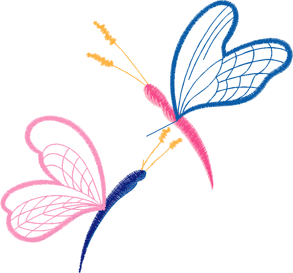 Butterflies 35  (2)