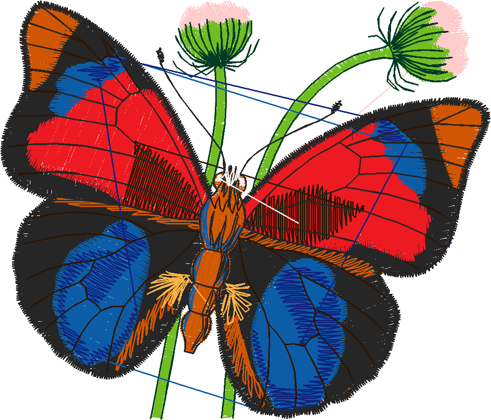 Butterflies 5  (2)
