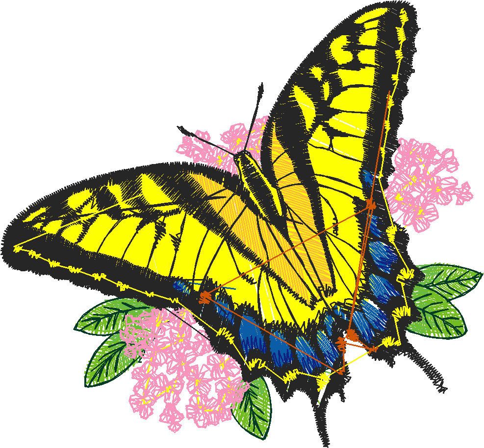 Butterflies 6  (1)