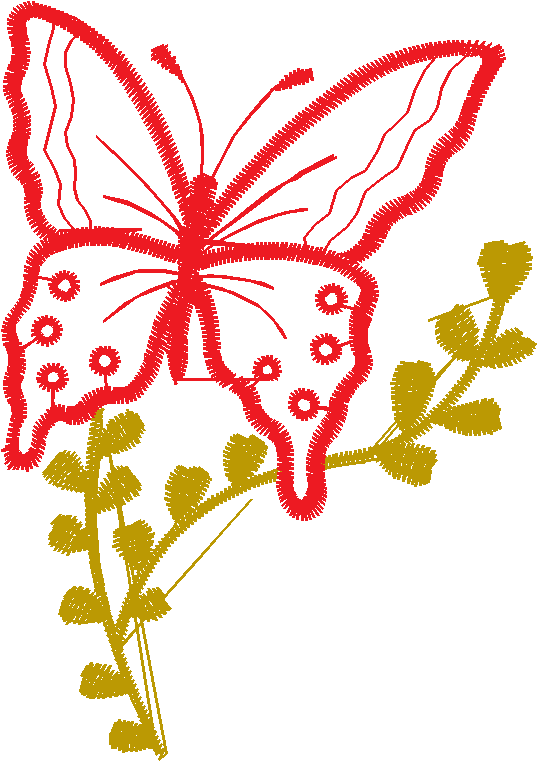 Butterflies 7  (3)