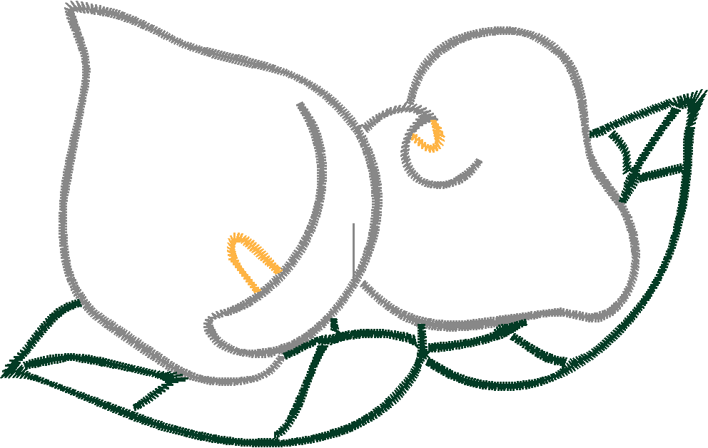 Cala Lillies 1  (9)