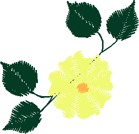8flowerc1