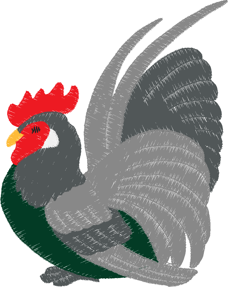 Chickens 2 (35)