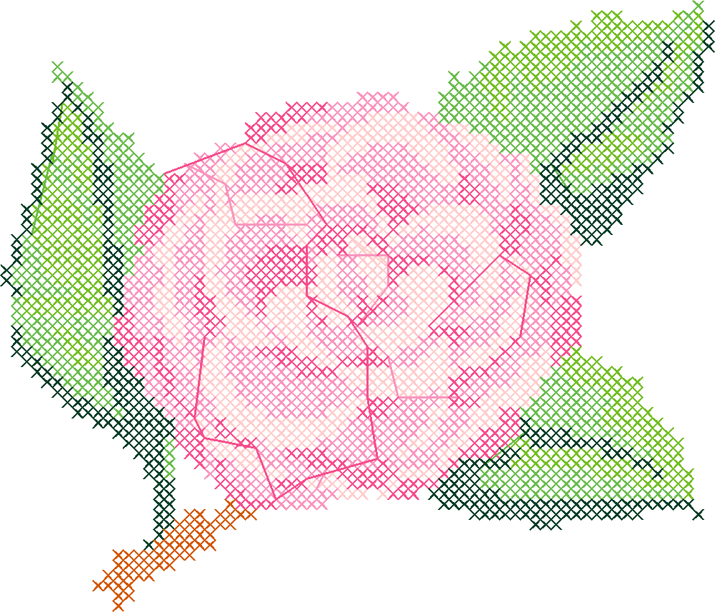 Camellia