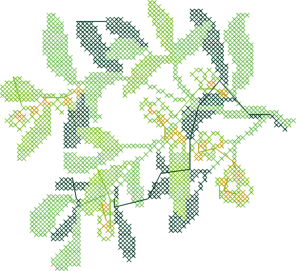 Mistletoe