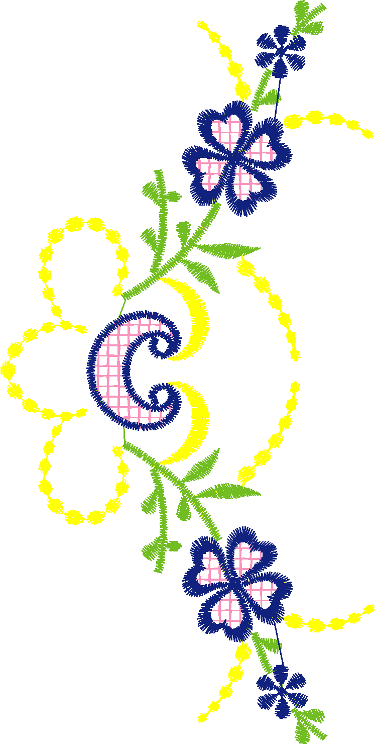 240207