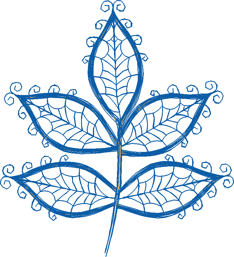 5leaf