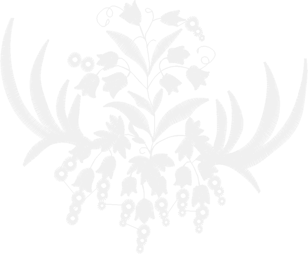 Bernina005
