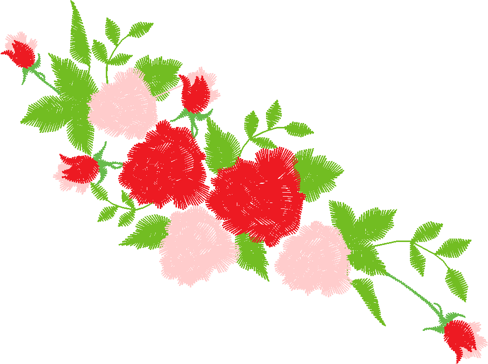 Rose A08