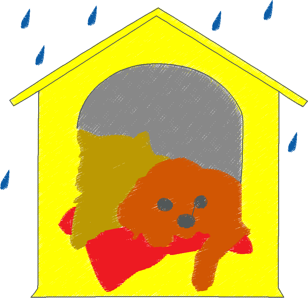 Dog & Kitty  1 (3)