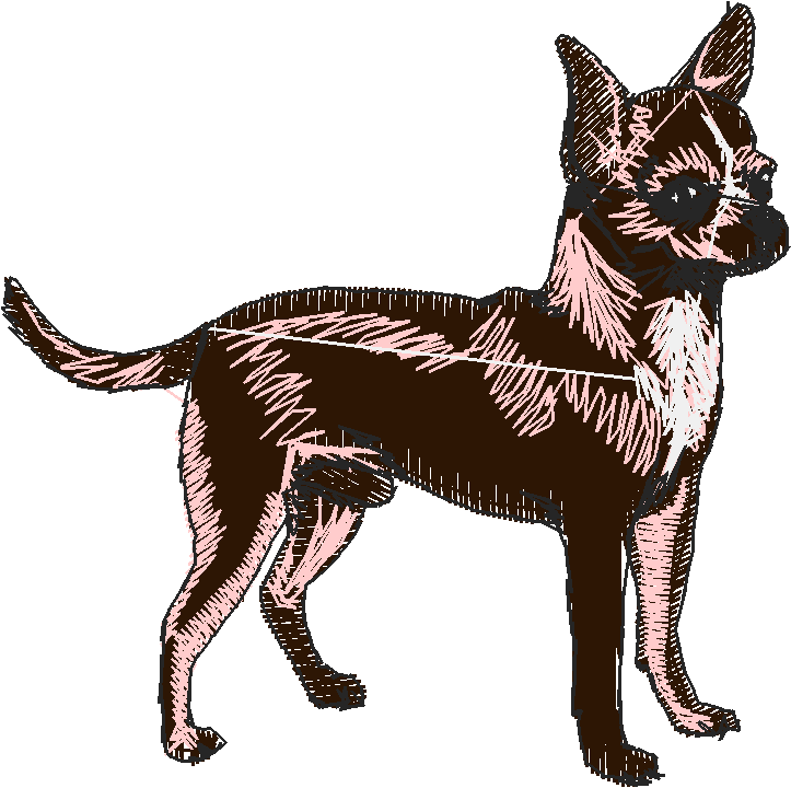 Dogs 1  (3)