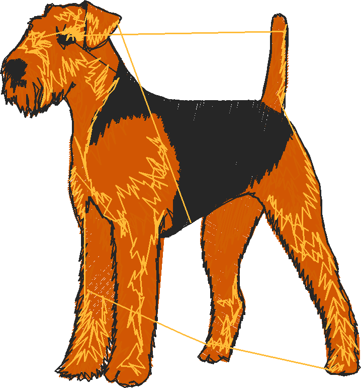 Dogs 1  (36)