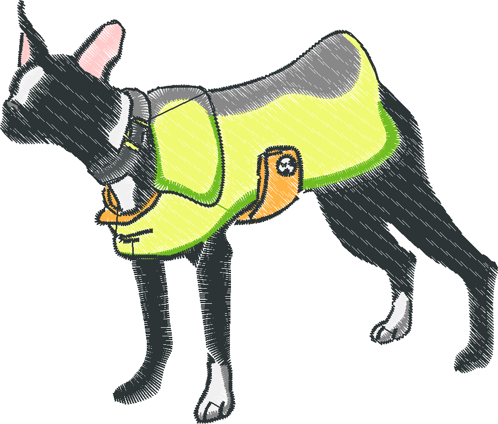 Dogs 12  (1)