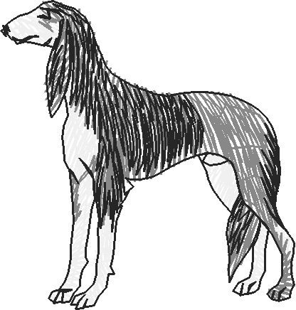 Dogs 13  (15)