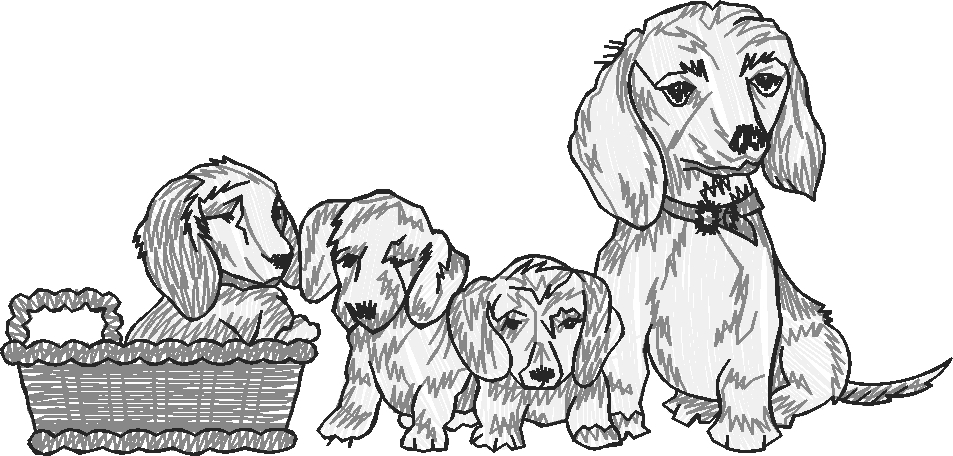 Dogs 13  (24)