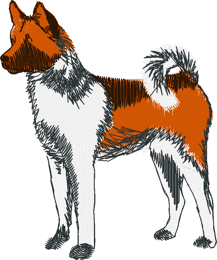 Dogs 16  (1)