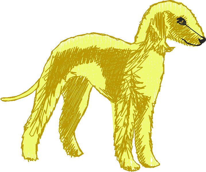 Dogs 16  (10)