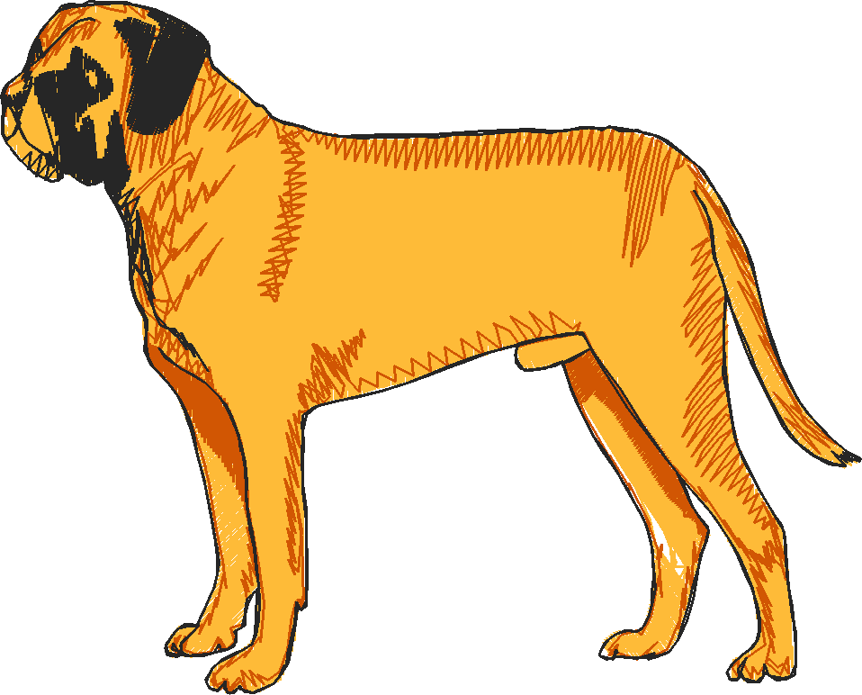 Dogs 16  (17)