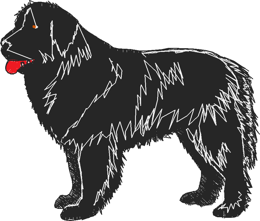 Dogs 16  (18)