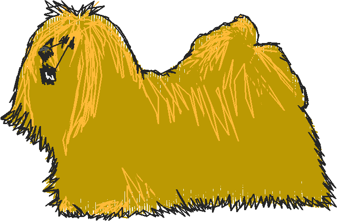 Dogs 16  (20)