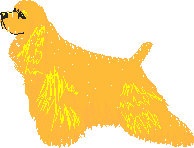 Dogs 16  (3)