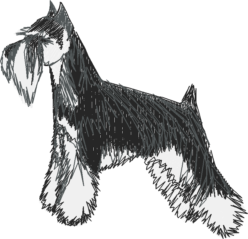 Dogs 18  (12)