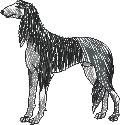 Dogs 19  (15)